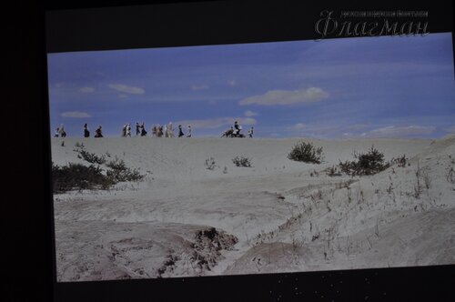 DSC_0088_новый размер